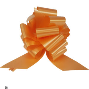 50 COCCARDA Nastro 50MM ARANCIO 116 Rapid SVELTO Tirante Matrimoni Auto Feste Eventi Vari