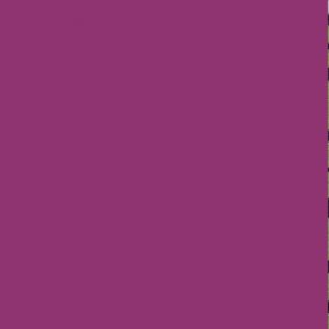 COLORAN SPRAY ACRIL PORPORA RAL 4006