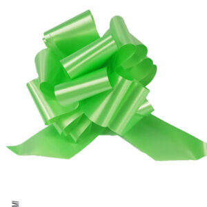 50 COCCARDA Nastro 50MM Verde 08 Rapid SVELTO Tirante Matrimoni Auto Feste Eventi Vari