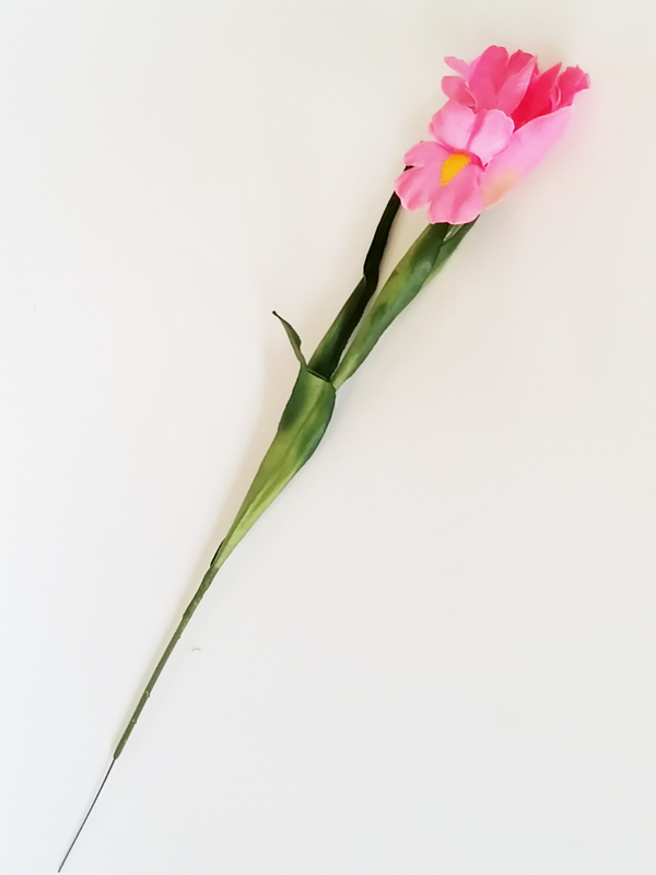 FIORE IRIS 1195 ROSA PEZZI 1