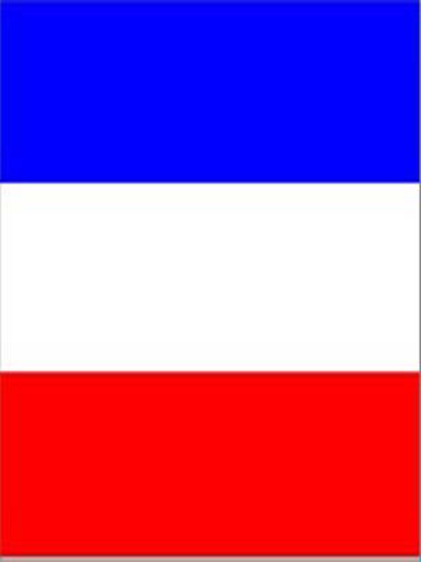 NASTRO PVC FRANCIA ALTEZZA 50MM LUNGO100 METRI - immagine 2