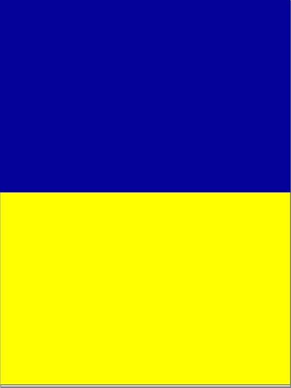 NASTRO PVC GIALLO BLU ALTEZZA 38MM LUNGO100 METRI - immagine 2