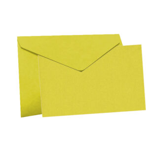 BUSTA E BIGLIETTO GIALLO 11X7 PZ 100+100