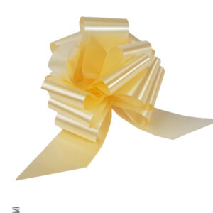 50 COCCARDA Nastro 50MM ECRU 16 Rapid SVELTO Tirante Matrimoni Auto Feste Eventi Vari