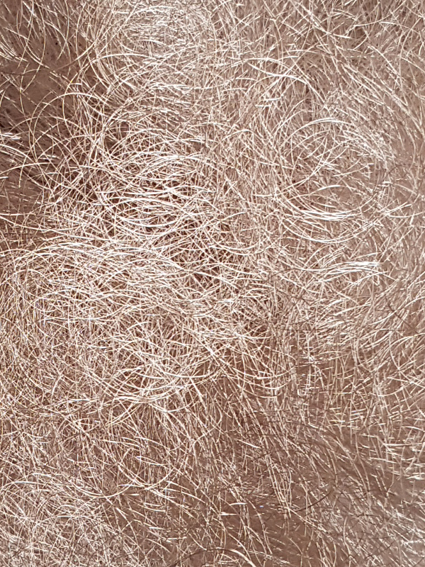 CAPELLI D'ANGELO 100GR - immagine 2