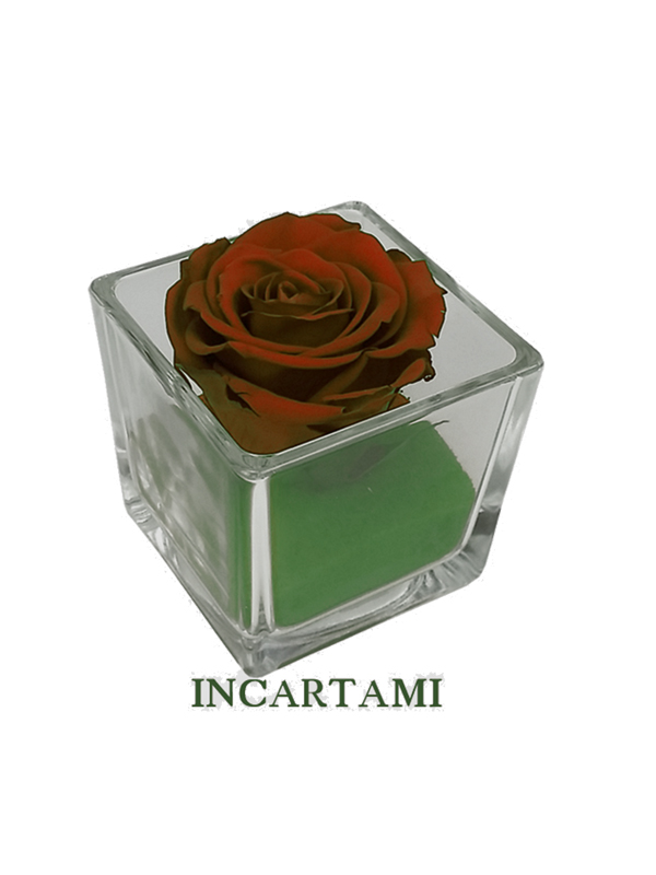1 KG SABBIA COLORATA 04-07 MILLIMETRI PER COMPOSIZIONI FLOREALI HOBBY FAI DA TE VERDE MELA - immagine 4