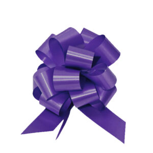 50 COCCARDA Nastro 50MM Viola 49 Rapid SVELTO Tirante Matrimoni Auto Feste Eventi Vari