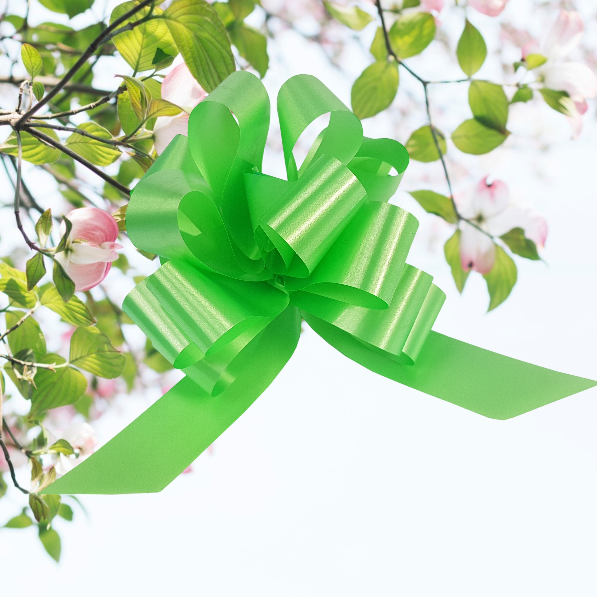 PZ 50 NASTRO RAPID 31 LISCIO VERDE P08 - immagine 7