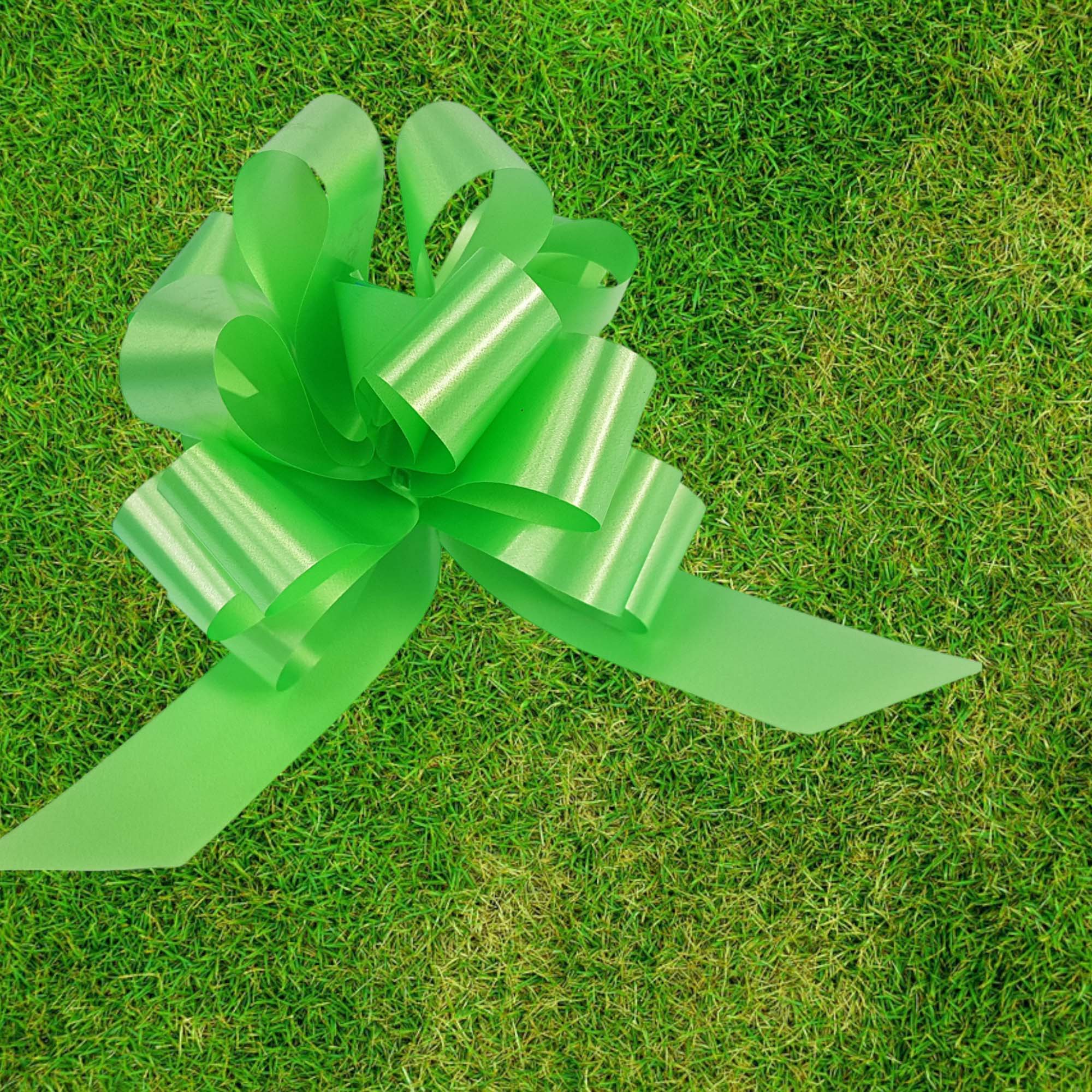 PZ 50 NASTRO RAPID 31 LISCIO VERDE P08 - immagine 8