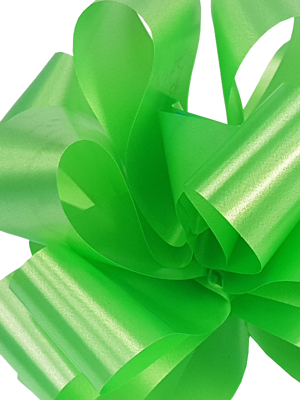 PZ 50 NASTRO RAPID 31 LISCIO VERDE P08 - immagine 2