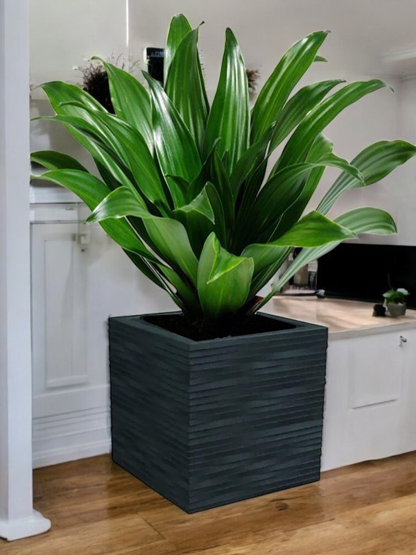 VASO CUBO ELEGANCE 40X40 ANTRACITE - immagine 7