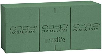 3 BLOCCO SPUGNA OASIS FRESCO MAXLIFE - immagine 2