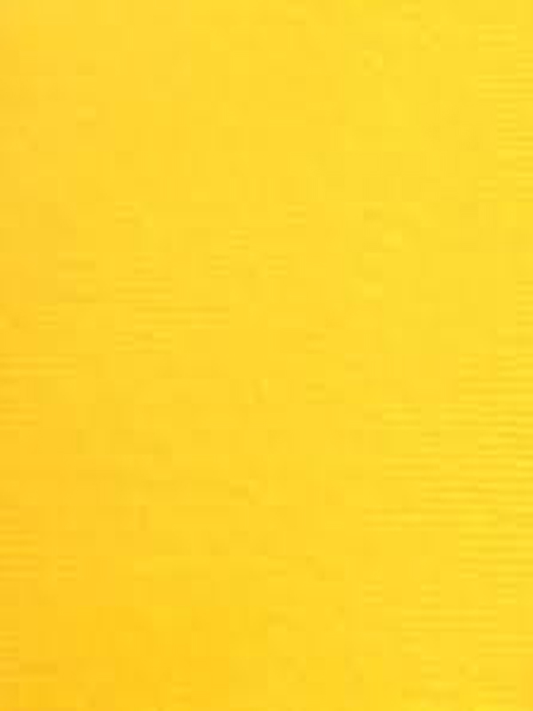 ROTOLO CARTOPACK 100X40 GIALLO - immagine 3