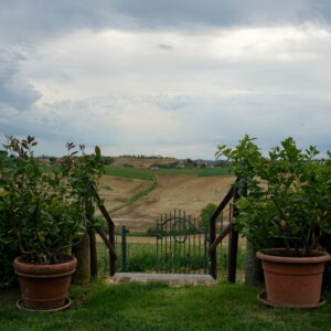 Vaso giardino
